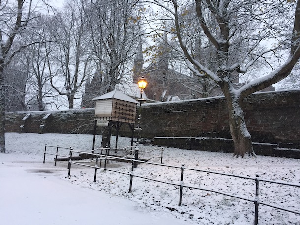 Chester Walls with the Cathedral in the background.